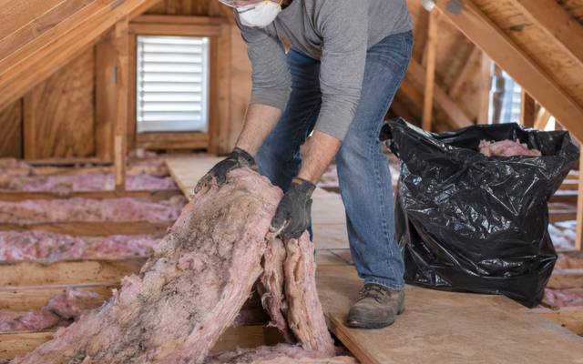 Worker pulling old pink batts off an attic floor into black bags for insulation removal